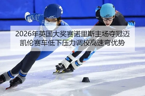 nian-ying-guo-da-jiang-sai-nuo-li-si-zhu-chang-duo-guan-mai-kai-lun-sai-che-di-xia-ya-li-diao-xiao-gao-su-wan-you-shi-2-974.jpg