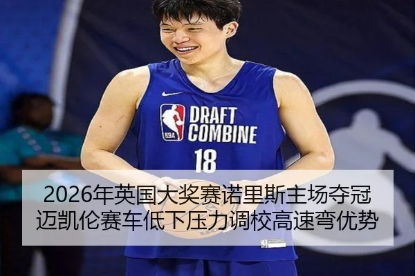nian-ying-guo-da-jiang-sai-nuo-li-si-zhu-chang-duo-guan-mai-kai-lun-sai-che-di-xia-ya-li-diao-xiao-gao-su-wan-you-shi-3-776.jpg