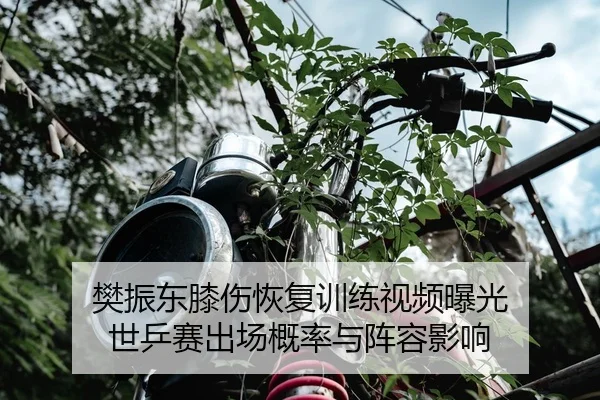 fan-zhen-dong-xi-shang-hui-fu-xun-lian-shi-pin-bao-guang-shi-ping-sai-chu-chang-gai-lv-yu-zhen-rong-ying-xiang-2-909.jpg