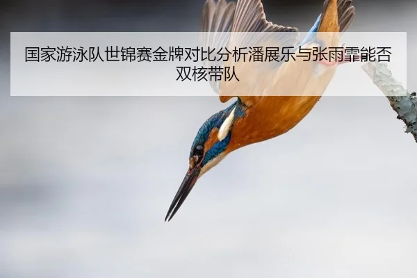 国家游泳队世锦赛金牌对比分析潘展乐与张雨霏能否双核带队